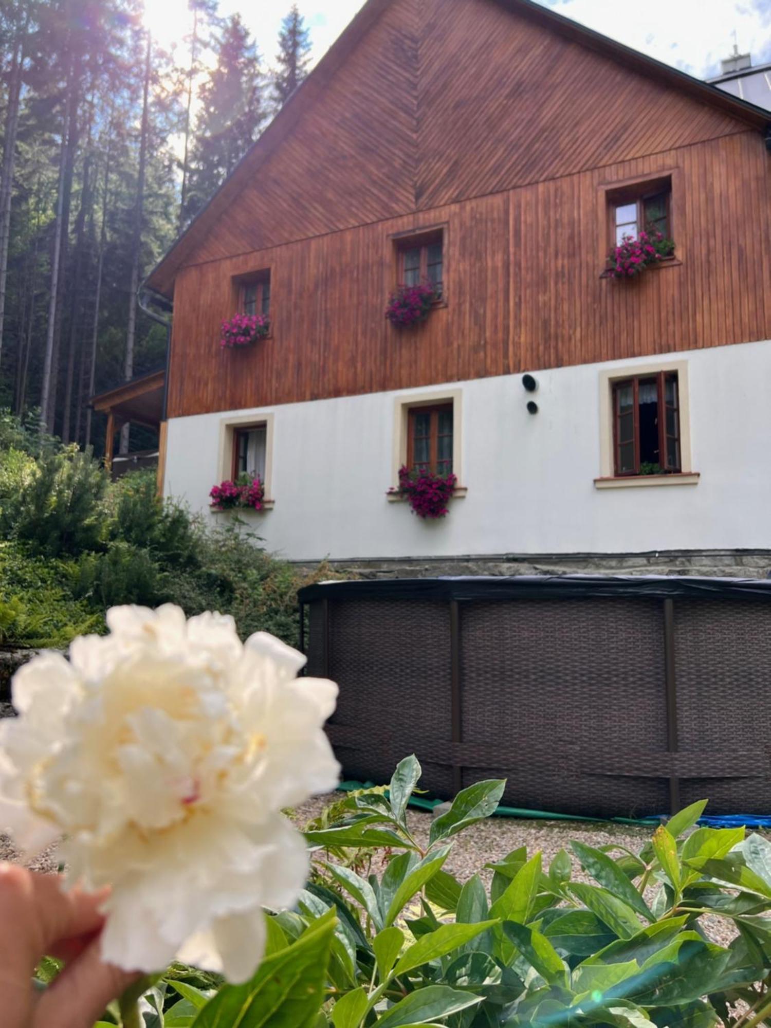 Hotylek Pod Smrkem Hotel Harrachov Exterior foto